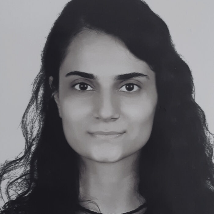 Dicle Kuas
