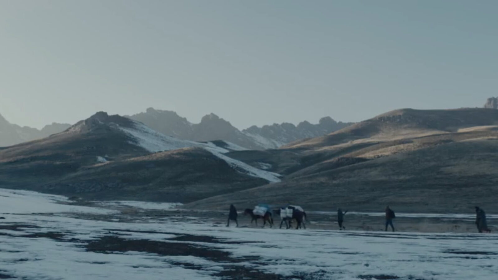 The Cold