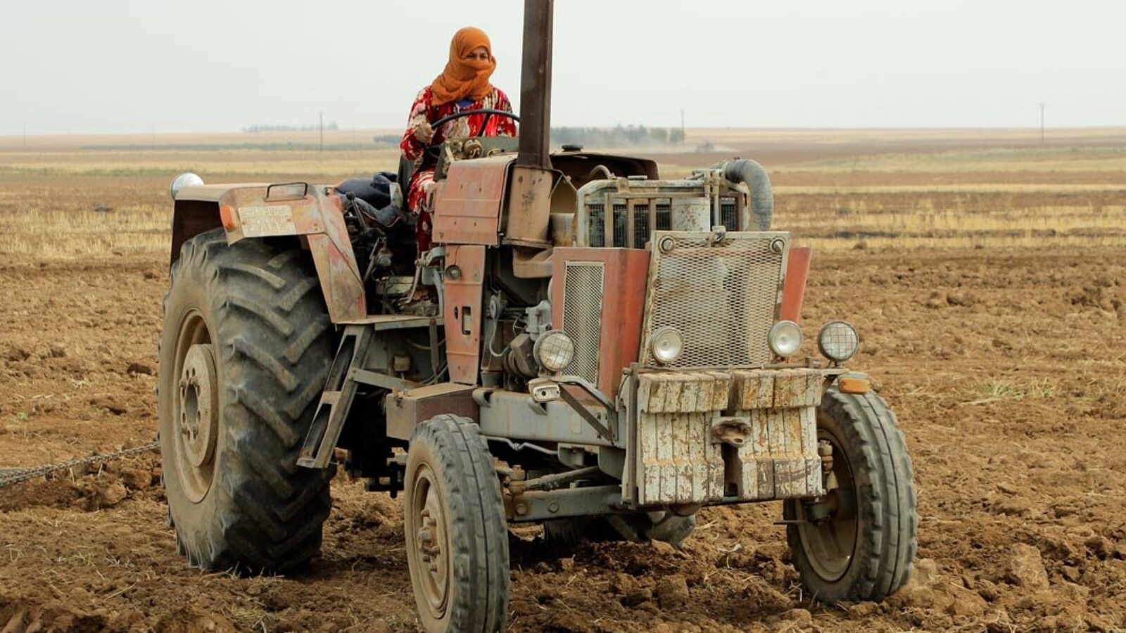 Tevî her tiştî