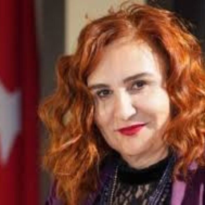 Dilek Takimci Imançer